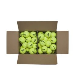 Wilson Triniti Tennis Balls - Eco-Friendly 72 Ball Club Case -RacquetGuys Sales 1c93e159b53dd8f956c3c4c765a27545a0458a7b WR8201501 3 Triniti Club 72 Ball Box