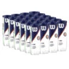 Wilson Roland Garros All Court Tennis Balls - 24 Can Case