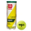 Wilson Championship Regular Duty Tennis Balls